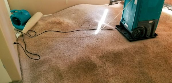 Cost of Flood Damage Cleanup in Mesa