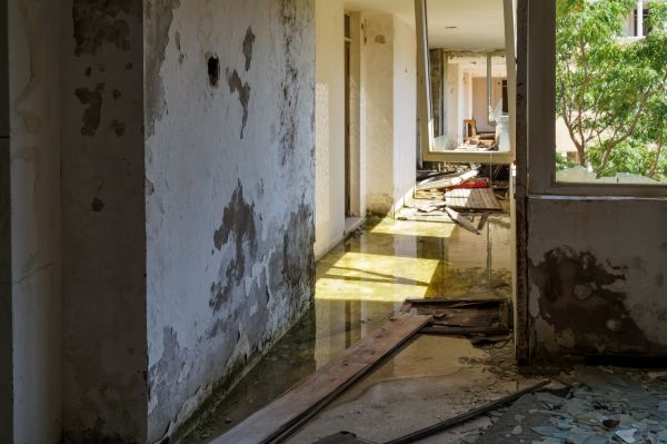 Cost of Water Removal Service in Mesa