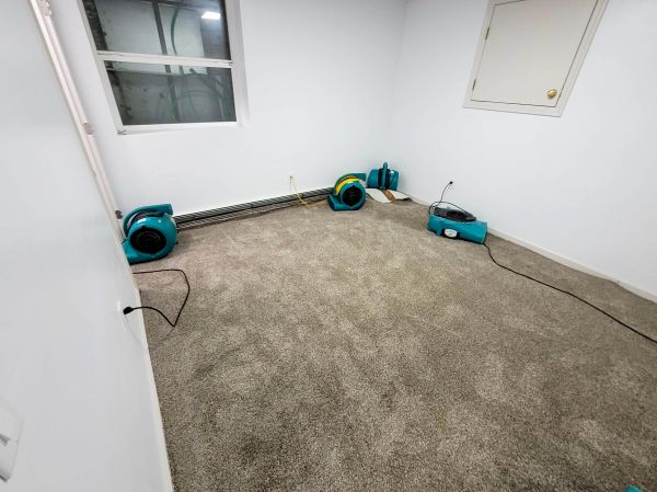 Flood Restoration Service in Mesa