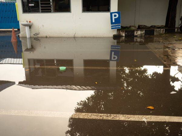 Cost of Storm Damage Repair in Mesa