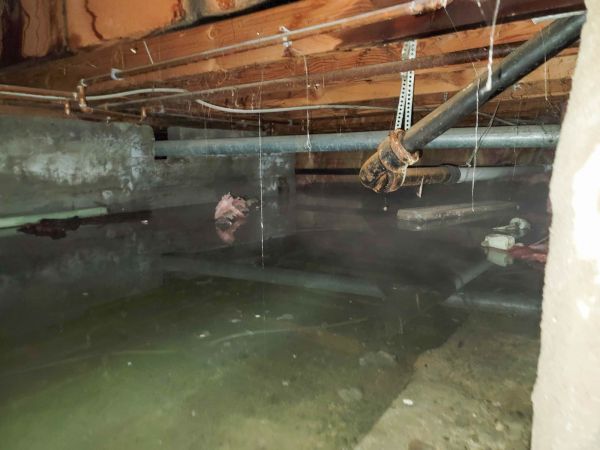Crawl Space Drying in Mesa