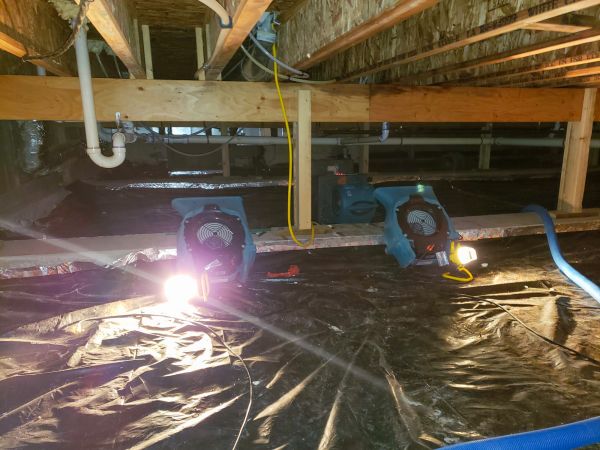 Cost of Crawlspace Water Removal in Mesa